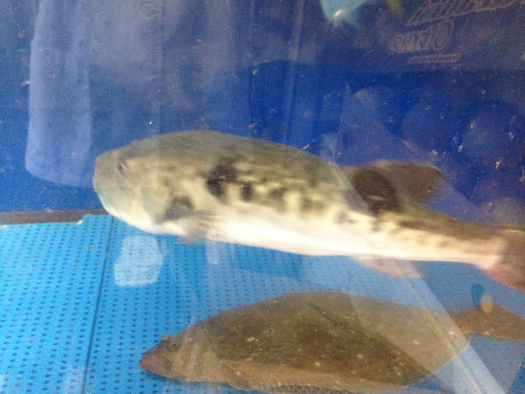 20140926_043028721_iOS