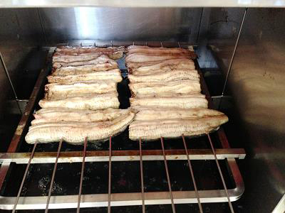 eel-image4